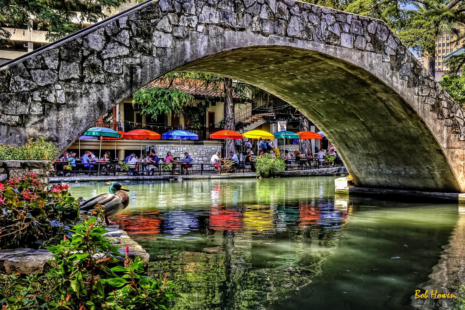 San Antonio Day Trip & Tour By Austin Detours