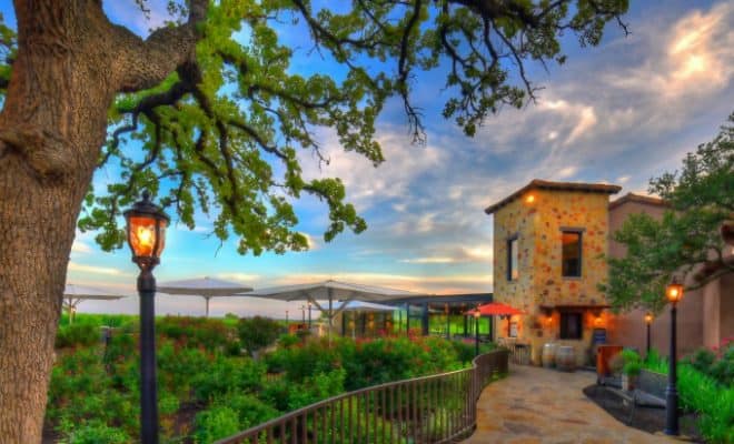Grape-Creek-Tasting-Room-660x400 Fredericksburg Day Trip with Austin Detours